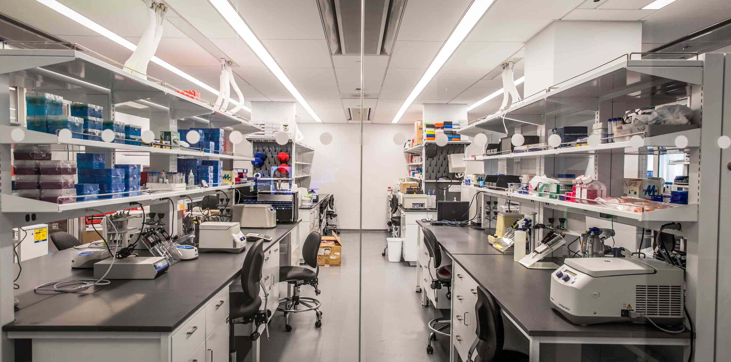 New York City: a New Hub for Stem Cell Research