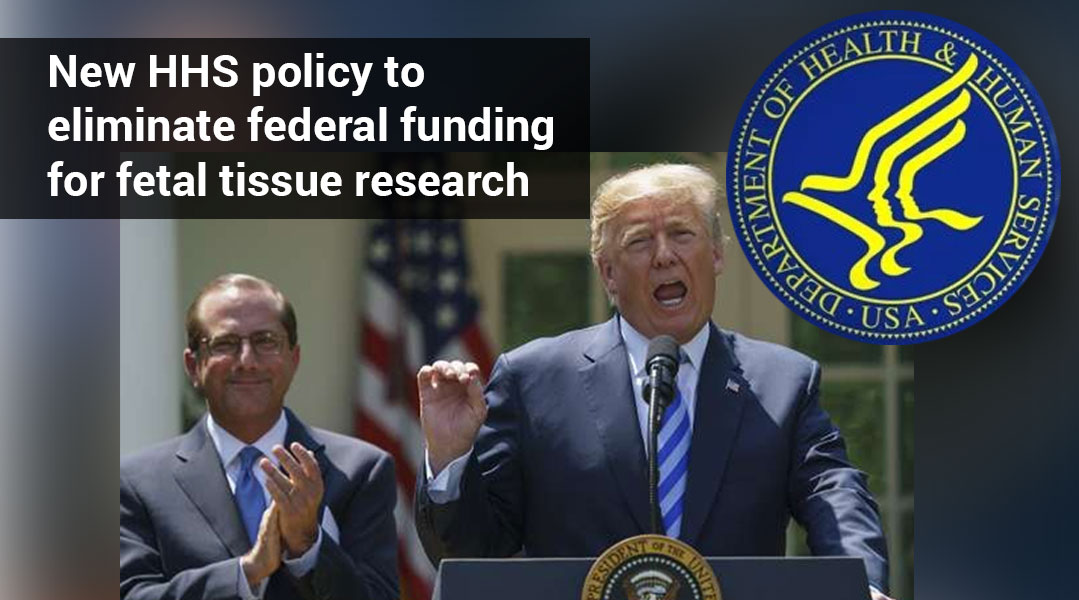 ISSCR Opposes Health and Human Services Policy Restricting Fetal Tissue Research