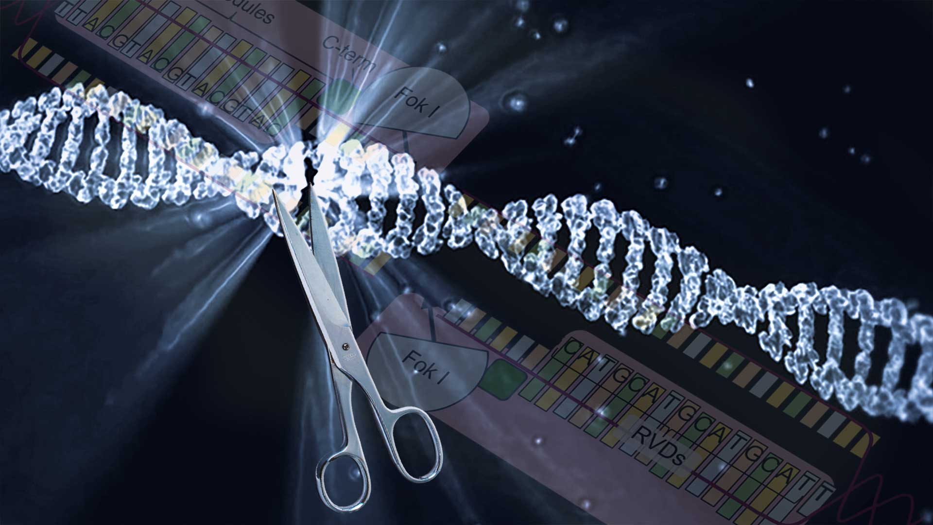 The Alliance for Regenerative Medicine Releases Statement of Principles on Genome Editing