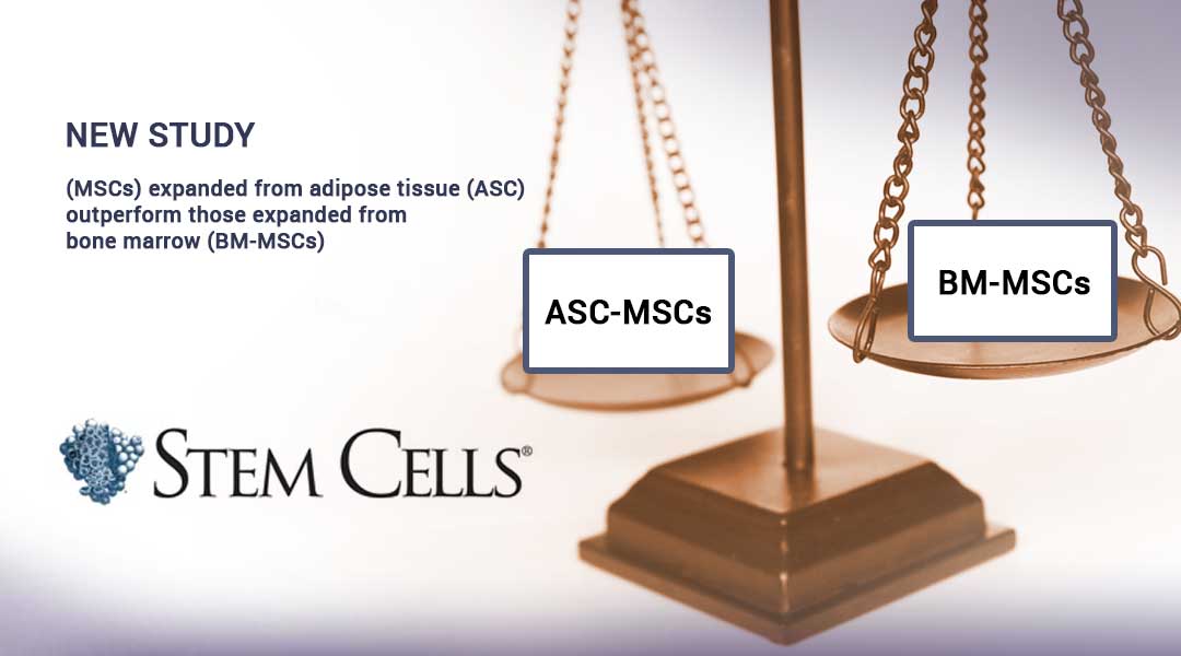 Study shows Mesenchymal Stromal Cells importance of tissue origin in predicting function Study shows Mesenchymal Stromal Cells importance of tissue origin in predicting function