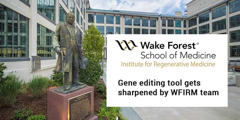 Gene editing tool gets sharpened by WFIRM team Gene editing tool gets sharpened by WFIRM team