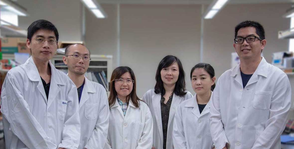 Study Shows More Effective, Safer Way To Develop Stem Cells For Treating Brain Damage