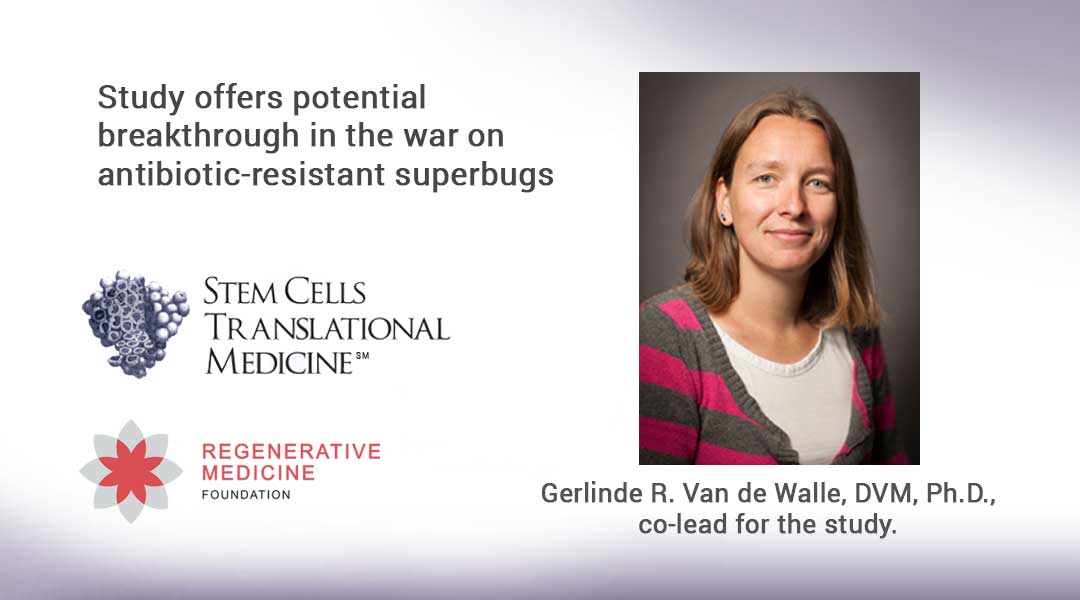 Study offers potential breakthrough in the war on antibiotic-resistant superbugs