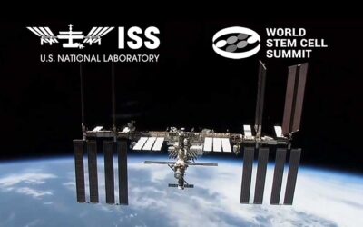 ISS National Lab to Host Session at World Stem Cell Summit on Regenerative Medicine in Low Earth Orbit