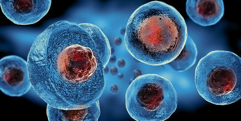 Reimagining stem cell cultivation